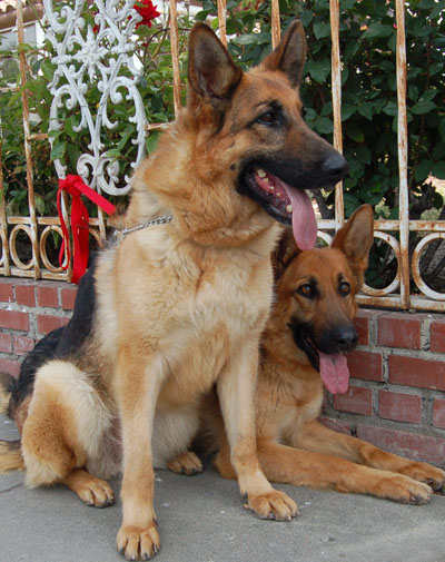 Elsa and Gretchen von Laax sitting